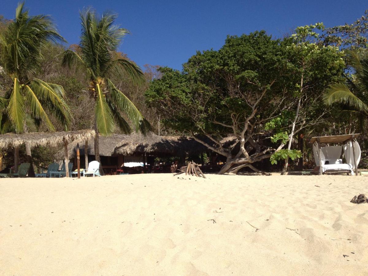 ホテル Casa Luna Playa Puerto Ángel エクステリア 写真