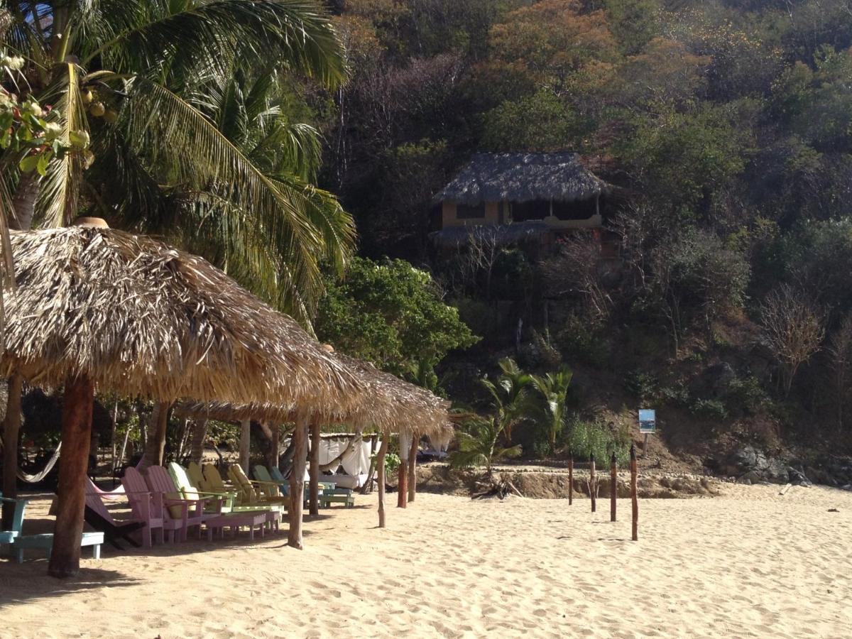 ホテル Casa Luna Playa Puerto Ángel エクステリア 写真